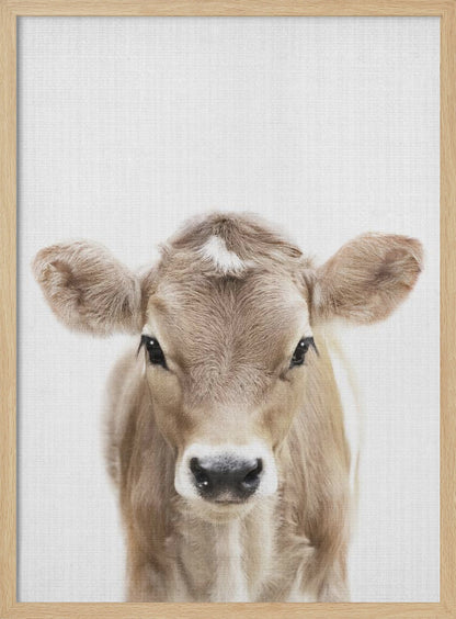 A close-up portrait of a light brown baby cow looking directly at the camera against a stark white background, enclosed in a simple black frame. Artwork