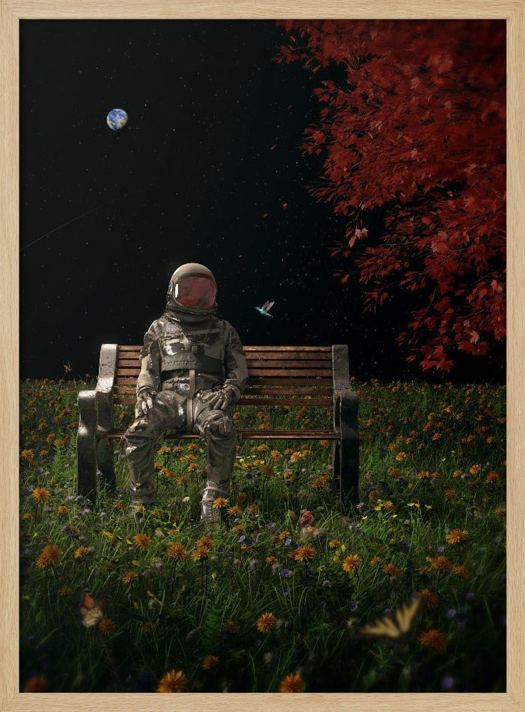 An Interlude - Poster / Art Print