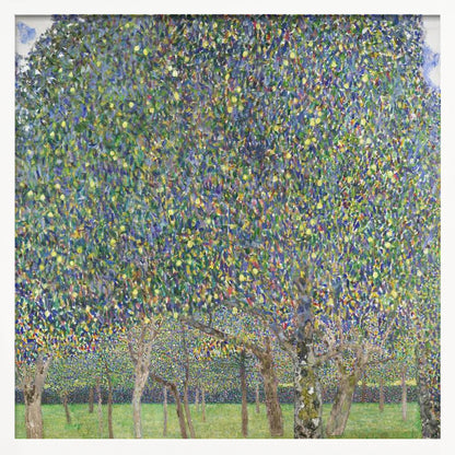 An impressionistic painting by Gustav Klimt of a pear tree orchard. The leaves of the trees are a dense mosaic of green, blue, and yellow brushstrokes, almost completely filling the upper part of the canvas. Below the vibrant canopy, the tree trunks stand on a bright green lawn. Print