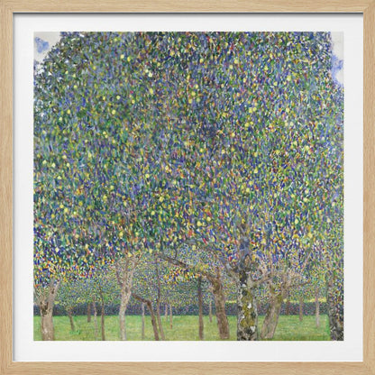 An impressionistic painting by Gustav Klimt of a pear tree orchard. The leaves of the trees are a dense mosaic of green, blue, and yellow brushstrokes, almost completely filling the upper part of the canvas. Below the vibrant canopy, the tree trunks stand on a bright green lawn. Print