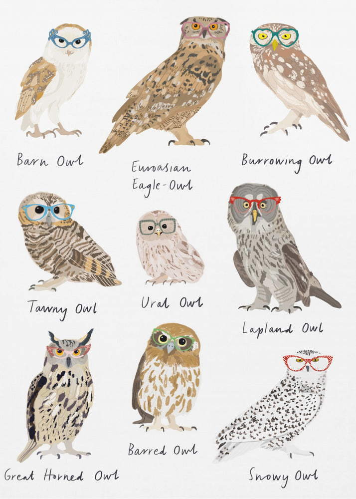 Owls In Glasses Print - Poster / Art Print