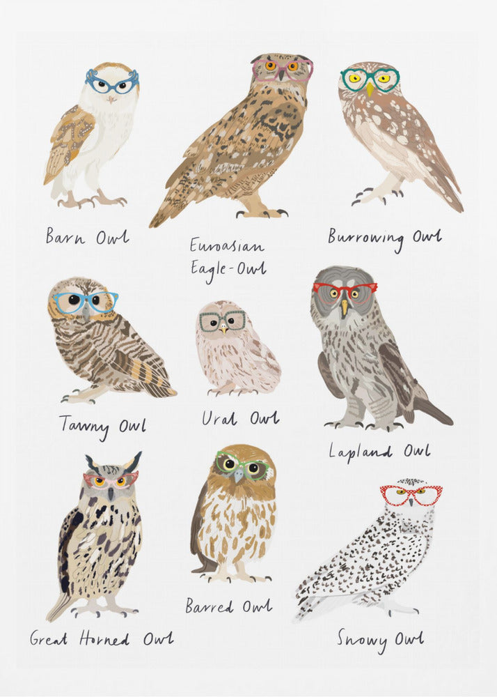 Owls In Glasses Print - Poster / Art Print