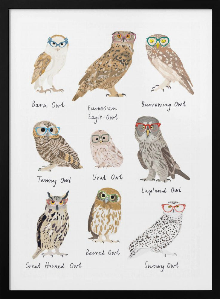 Owls In Glasses Print - Poster / Art Print