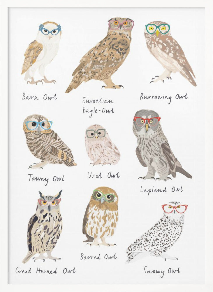 Owls In Glasses Print - Poster / Art Print