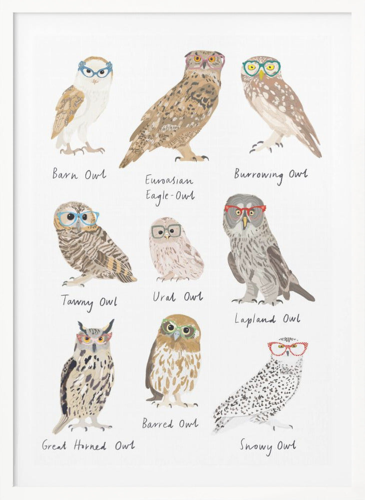 Owls In Glasses Print - Poster / Art Print