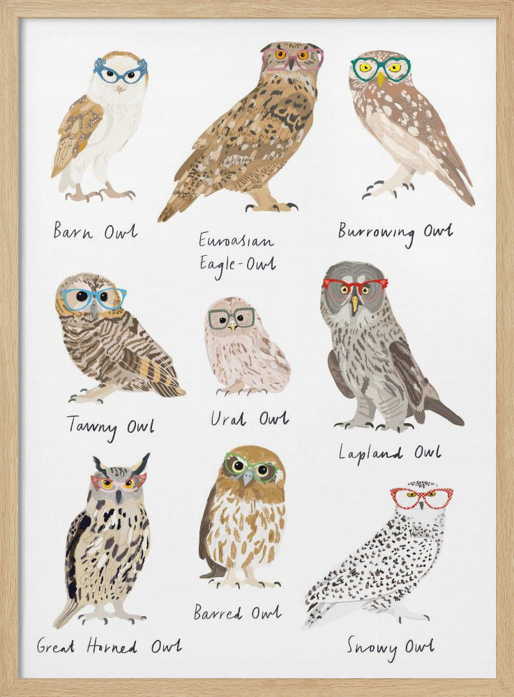 Owls In Glasses Print - Poster / Art Print