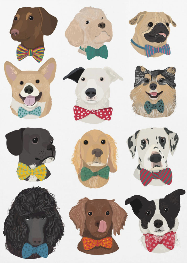 Dog In Bow - Poster / Art Print