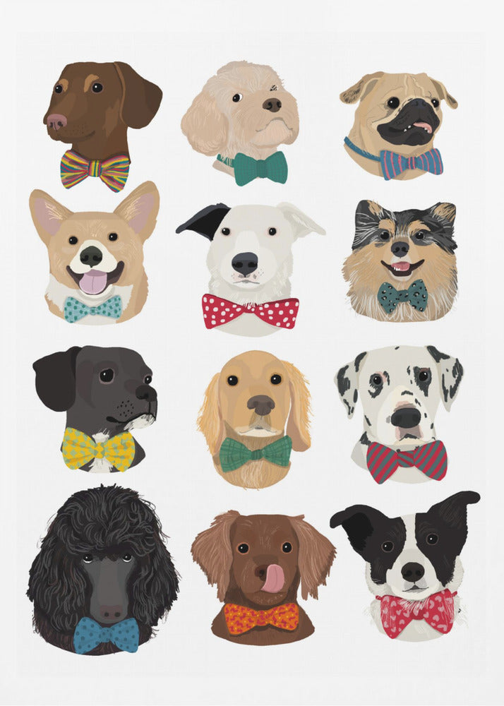 Dog In Bow - Poster / Art Print