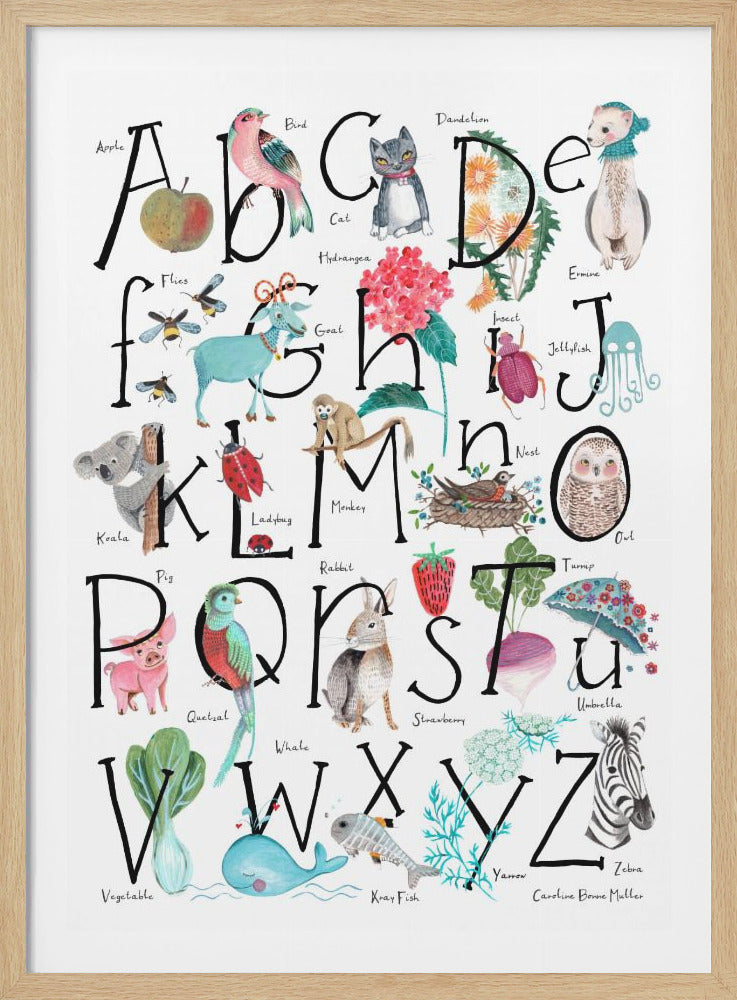 ABC illustration - Poster / Art Print