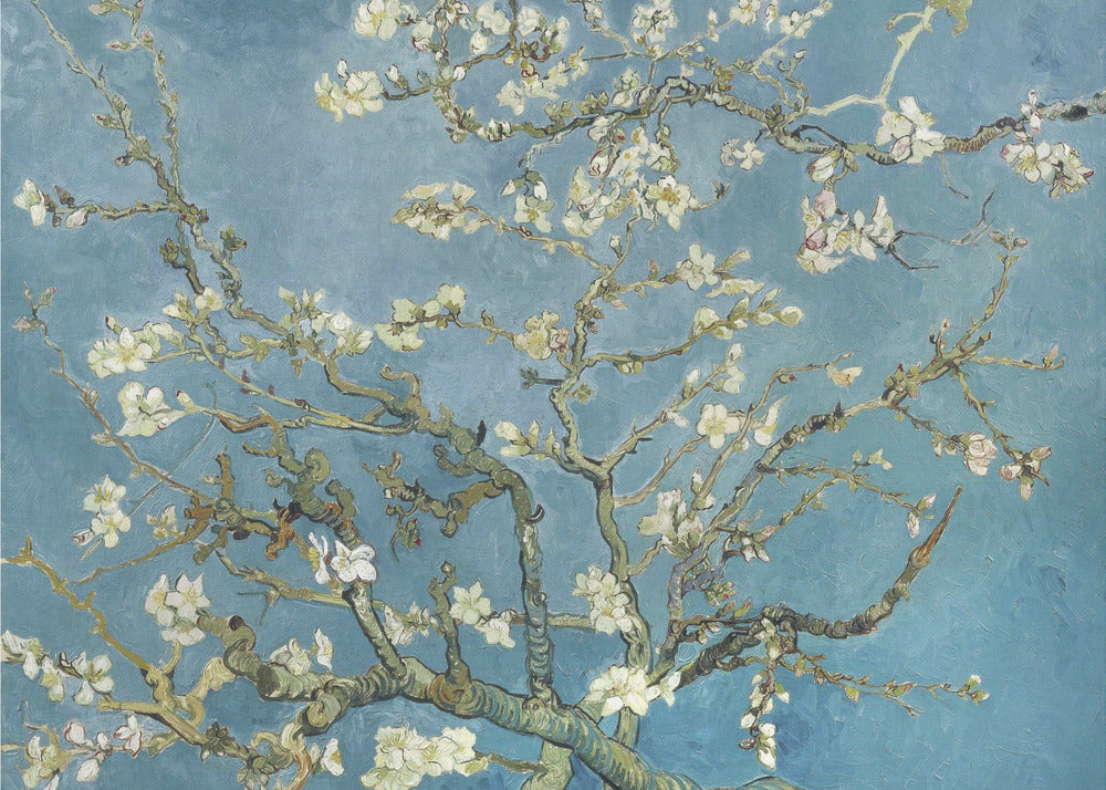A framed print of Vincent van Gogh's painting 'Almond Blossom,' featuring delicate white blossoms on gnarled branches set against a vibrant turquoise-blue sky. Poster