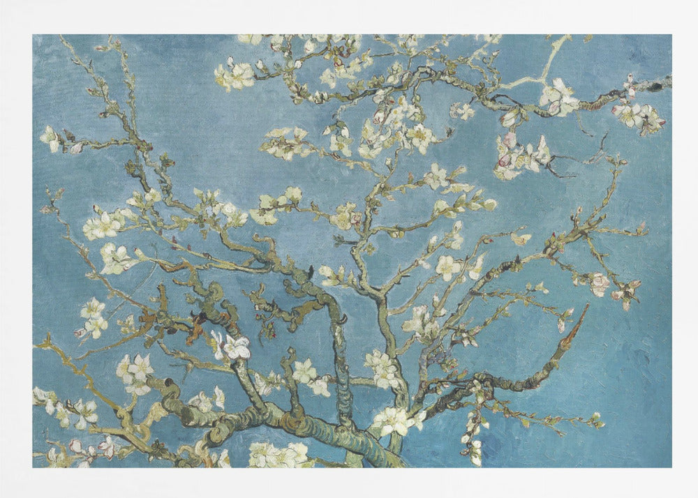 A framed print of Vincent van Gogh's painting 'Almond Blossom,' featuring delicate white blossoms on gnarled branches set against a vibrant turquoise-blue sky. Poster