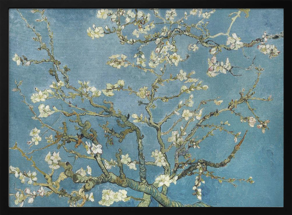 A framed print of Vincent van Gogh's painting 'Almond Blossom,' featuring delicate white blossoms on gnarled branches set against a vibrant turquoise-blue sky. Poster