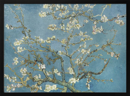 A framed print of Vincent van Gogh's painting 'Almond Blossom,' featuring delicate white blossoms on gnarled branches set against a vibrant turquoise-blue sky. Poster