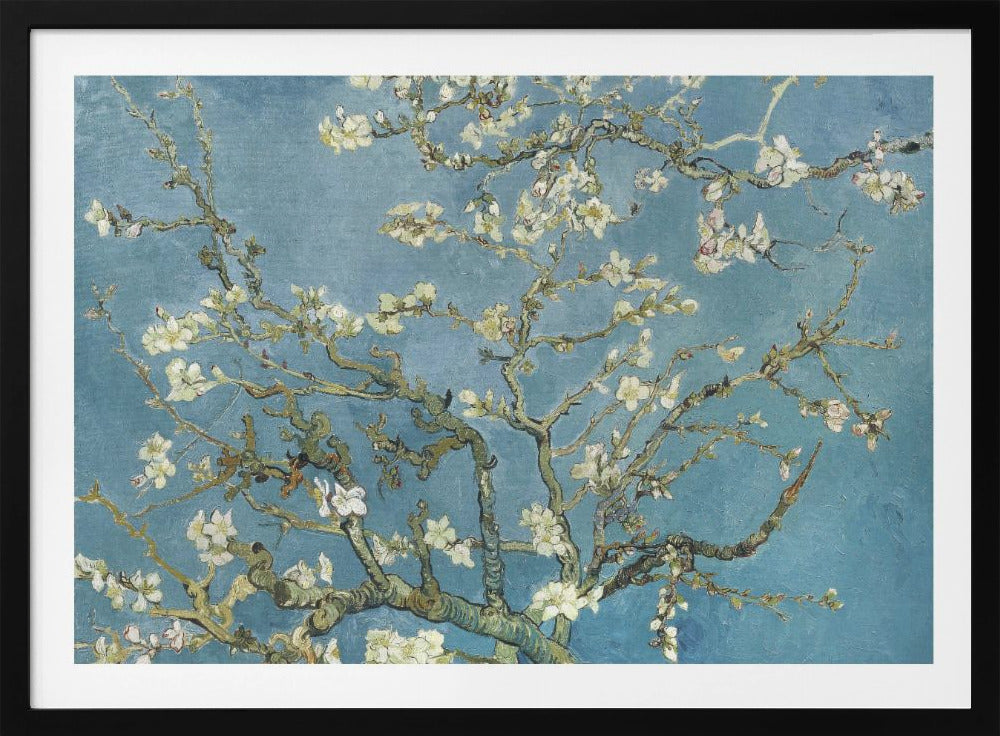 A framed print of Vincent van Gogh's painting 'Almond Blossom,' featuring delicate white blossoms on gnarled branches set against a vibrant turquoise-blue sky. Poster