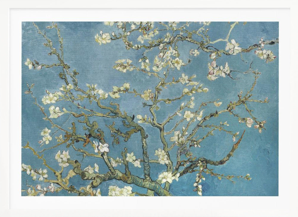 A framed print of Vincent van Gogh's painting 'Almond Blossom,' featuring delicate white blossoms on gnarled branches set against a vibrant turquoise-blue sky. Poster