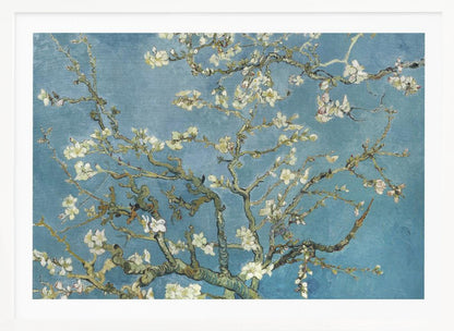 A framed print of Vincent van Gogh's painting 'Almond Blossom,' featuring delicate white blossoms on gnarled branches set against a vibrant turquoise-blue sky. Poster