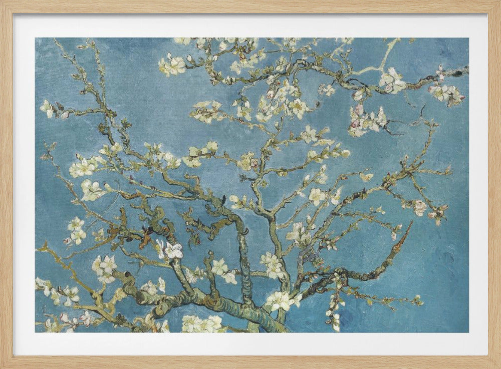 A framed print of Vincent van Gogh's painting 'Almond Blossom,' featuring delicate white blossoms on gnarled branches set against a vibrant turquoise-blue sky. Poster