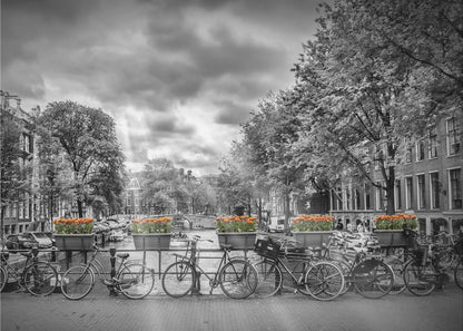 A selective color, black and white photograph of a classic Amsterdam canal scene, enclosed in a silver frame. The foreground shows a bridge lined with numerous bicycles and planters filled with vibrant orange tulips, which are the only colored elements. The background features canal houses, trees, and another bridge under a dramatic, cloudy sky with sunbeams. Print