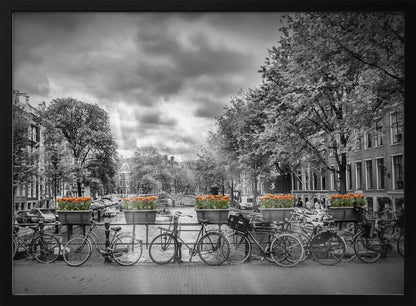 A selective color, black and white photograph of a classic Amsterdam canal scene, enclosed in a silver frame. The foreground shows a bridge lined with numerous bicycles and planters filled with vibrant orange tulips, which are the only colored elements. The background features canal houses, trees, and another bridge under a dramatic, cloudy sky with sunbeams. Print
