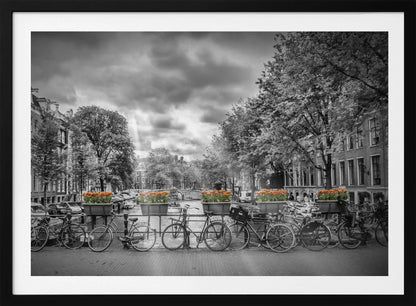 A selective color, black and white photograph of a classic Amsterdam canal scene, enclosed in a silver frame. The foreground shows a bridge lined with numerous bicycles and planters filled with vibrant orange tulips, which are the only colored elements. The background features canal houses, trees, and another bridge under a dramatic, cloudy sky with sunbeams. Print