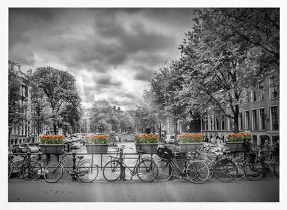A selective color, black and white photograph of a classic Amsterdam canal scene, enclosed in a silver frame. The foreground shows a bridge lined with numerous bicycles and planters filled with vibrant orange tulips, which are the only colored elements. The background features canal houses, trees, and another bridge under a dramatic, cloudy sky with sunbeams. Print