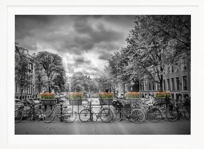 A selective color, black and white photograph of a classic Amsterdam canal scene, enclosed in a silver frame. The foreground shows a bridge lined with numerous bicycles and planters filled with vibrant orange tulips, which are the only colored elements. The background features canal houses, trees, and another bridge under a dramatic, cloudy sky with sunbeams. Print