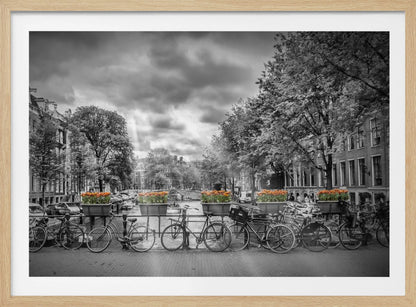 A selective color, black and white photograph of a classic Amsterdam canal scene, enclosed in a silver frame. The foreground shows a bridge lined with numerous bicycles and planters filled with vibrant orange tulips, which are the only colored elements. The background features canal houses, trees, and another bridge under a dramatic, cloudy sky with sunbeams. Print