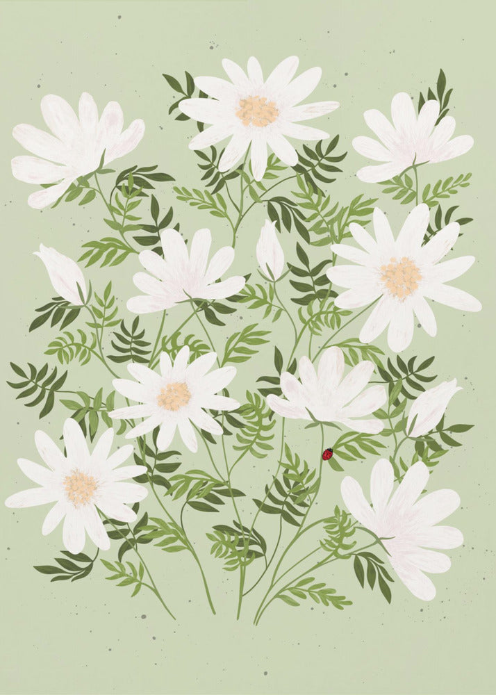 An illustration of a bouquet of white daisies with yellow centers and lush green leaves against a light sage green background. A small red ladybug rests on a leaf. The entire piece is framed in black. Artwork