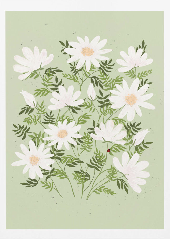 An illustration of a bouquet of white daisies with yellow centers and lush green leaves against a light sage green background. A small red ladybug rests on a leaf. The entire piece is framed in black. Artwork