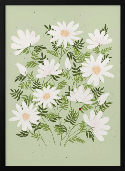 An illustration of a bouquet of white daisies with yellow centers and lush green leaves against a light sage green background. A small red ladybug rests on a leaf. The entire piece is framed in black. Artwork