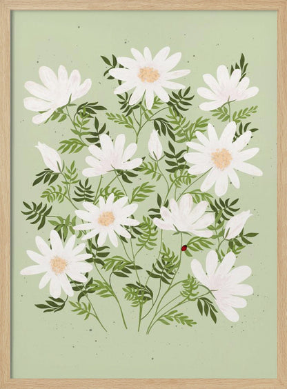 An illustration of a bouquet of white daisies with yellow centers and lush green leaves against a light sage green background. A small red ladybug rests on a leaf. The entire piece is framed in black. Artwork