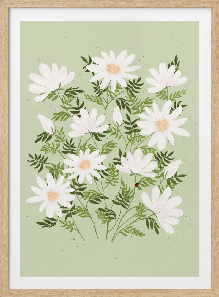 An illustration of a bouquet of white daisies with yellow centers and lush green leaves against a light sage green background. A small red ladybug rests on a leaf. The entire piece is framed in black. Artwork