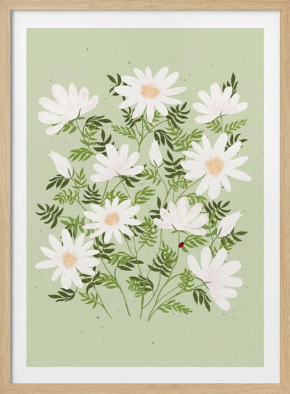 An illustration of a bouquet of white daisies with yellow centers and lush green leaves against a light sage green background. A small red ladybug rests on a leaf. The entire piece is framed in black. Artwork