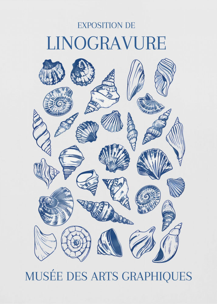 A vintage-style exhibition poster for 'Exposition de Linogravure' at the 'Musée des Arts Graphiques'. The poster features a collection of intricately detailed seashells illustrated in a blue linocut style on an off-white background, all enclosed in a simple black frame. Artwork