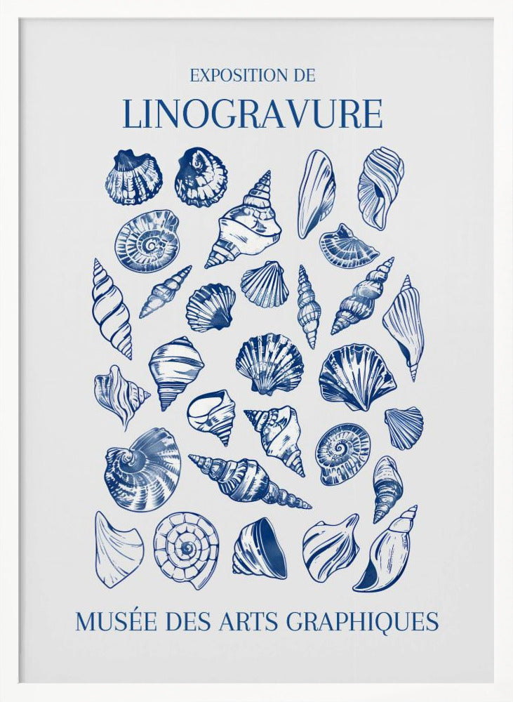 A vintage-style exhibition poster for 'Exposition de Linogravure' at the 'Musée des Arts Graphiques'. The poster features a collection of intricately detailed seashells illustrated in a blue linocut style on an off-white background, all enclosed in a simple black frame. Artwork
