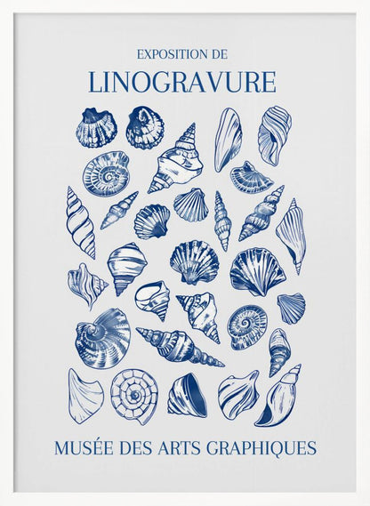 A vintage-style exhibition poster for 'Exposition de Linogravure' at the 'Musée des Arts Graphiques'. The poster features a collection of intricately detailed seashells illustrated in a blue linocut style on an off-white background, all enclosed in a simple black frame. Artwork
