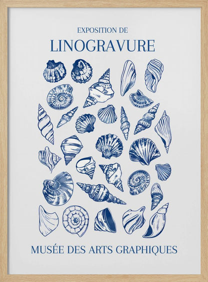 A vintage-style exhibition poster for 'Exposition de Linogravure' at the 'Musée des Arts Graphiques'. The poster features a collection of intricately detailed seashells illustrated in a blue linocut style on an off-white background, all enclosed in a simple black frame. Artwork