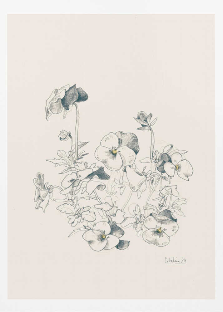 A vertical, framed pencil sketch of a cluster of pansy flowers on a cream-colored background. The artwork features detailed linework and shading, capturing the delicate petals and leaves of the flowers. The entire piece is housed in a simple, thin black frame. Artwork