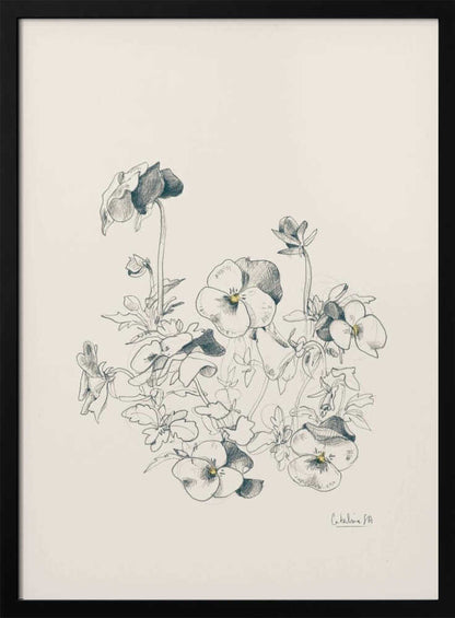 A vertical, framed pencil sketch of a cluster of pansy flowers on a cream-colored background. The artwork features detailed linework and shading, capturing the delicate petals and leaves of the flowers. The entire piece is housed in a simple, thin black frame. Artwork