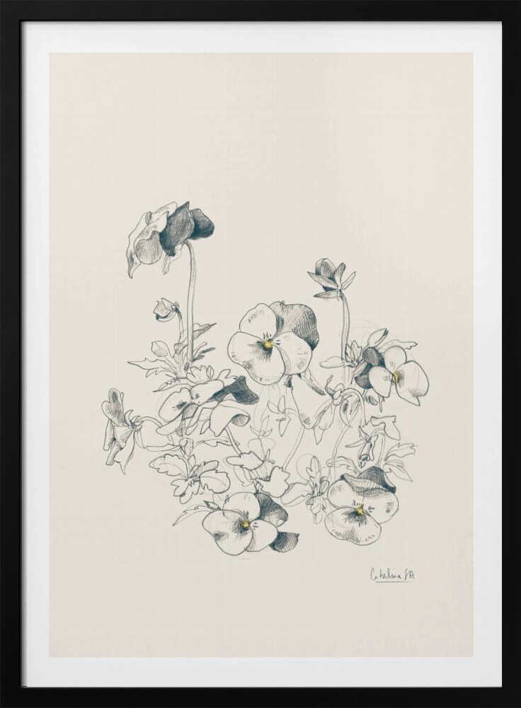 A vertical, framed pencil sketch of a cluster of pansy flowers on a cream-colored background. The artwork features detailed linework and shading, capturing the delicate petals and leaves of the flowers. The entire piece is housed in a simple, thin black frame. Artwork