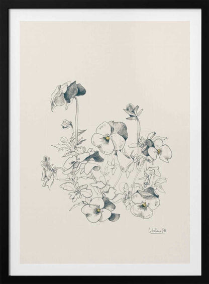 A vertical, framed pencil sketch of a cluster of pansy flowers on a cream-colored background. The artwork features detailed linework and shading, capturing the delicate petals and leaves of the flowers. The entire piece is housed in a simple, thin black frame. Artwork