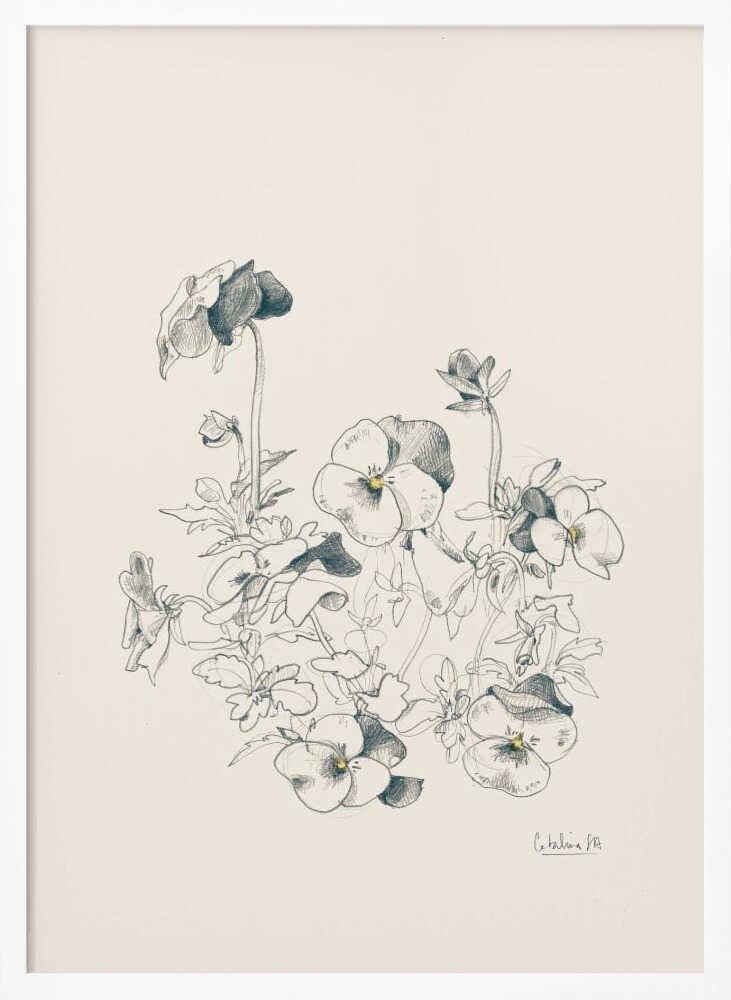 A vertical, framed pencil sketch of a cluster of pansy flowers on a cream-colored background. The artwork features detailed linework and shading, capturing the delicate petals and leaves of the flowers. The entire piece is housed in a simple, thin black frame. Artwork