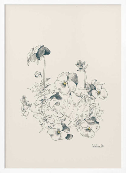 A vertical, framed pencil sketch of a cluster of pansy flowers on a cream-colored background. The artwork features detailed linework and shading, capturing the delicate petals and leaves of the flowers. The entire piece is housed in a simple, thin black frame. Artwork