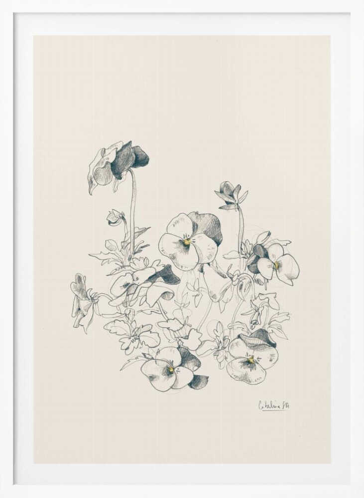 A vertical, framed pencil sketch of a cluster of pansy flowers on a cream-colored background. The artwork features detailed linework and shading, capturing the delicate petals and leaves of the flowers. The entire piece is housed in a simple, thin black frame. Artwork