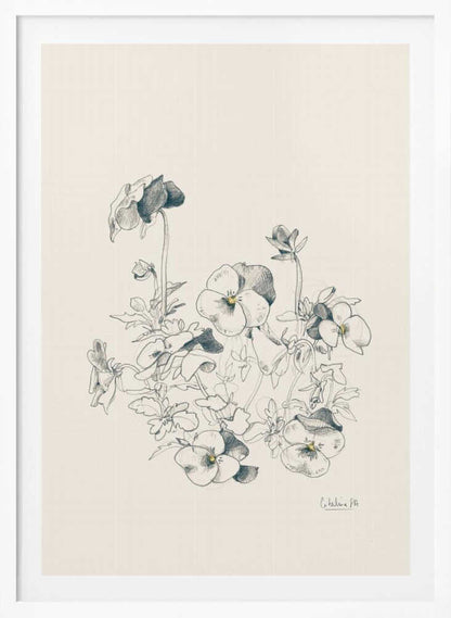A vertical, framed pencil sketch of a cluster of pansy flowers on a cream-colored background. The artwork features detailed linework and shading, capturing the delicate petals and leaves of the flowers. The entire piece is housed in a simple, thin black frame. Artwork