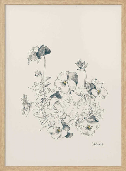 A vertical, framed pencil sketch of a cluster of pansy flowers on a cream-colored background. The artwork features detailed linework and shading, capturing the delicate petals and leaves of the flowers. The entire piece is housed in a simple, thin black frame. Artwork