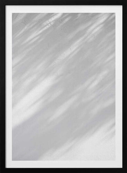 Diagonal leaf shadows cast on a white textured wall, creating a minimalist black and white art piece.