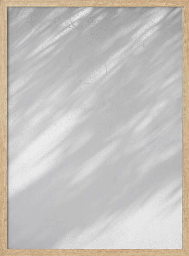 Diagonal leaf shadows cast on a white textured wall, creating a minimalist black and white art piece.