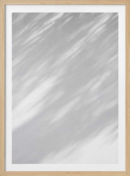 Diagonal leaf shadows cast on a white textured wall, creating a minimalist black and white art piece.