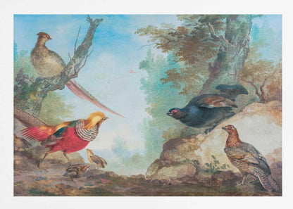 A vintage-style painting of various game birds in a natural, wooded landscape, enclosed in a silver frame. A vibrant golden pheasant and its chicks are on the left, while a black grouse perches on a rock and another stands on the ground to the right. A female pheasant sits on a tree branch above. Poster